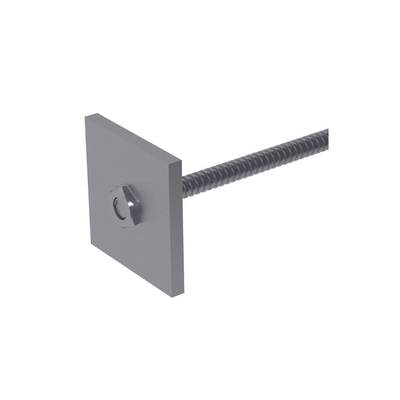 Anchor with the plate